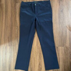 Womens Navy Banana Republic Ankle Pants, Size 6
